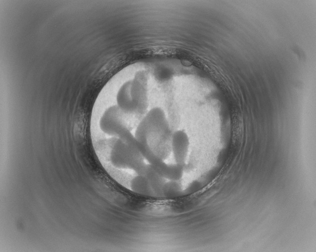 X0000115330078200911301536