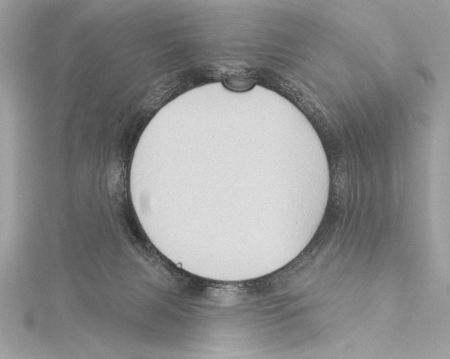 X0000115330079200911301536