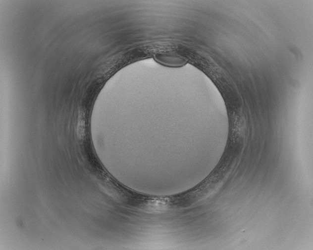 X0000115330080200911301536