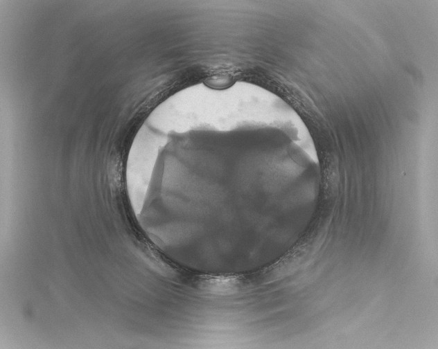 X0000115330081200911301536