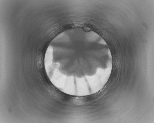 X0000115330082200911301536