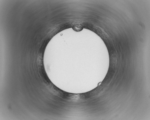 X0000115330083200911301536