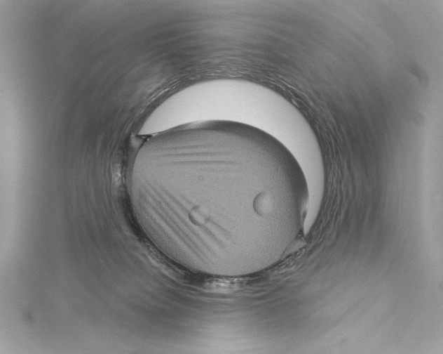 X0000115330084200911301536