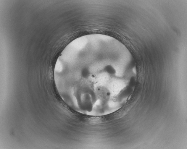 X0000115330085200911301536