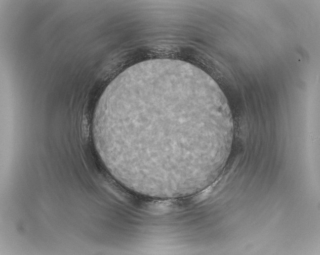 X0000115330086200911301536