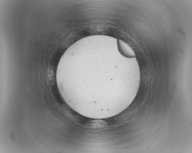 X0000115330087200911301536