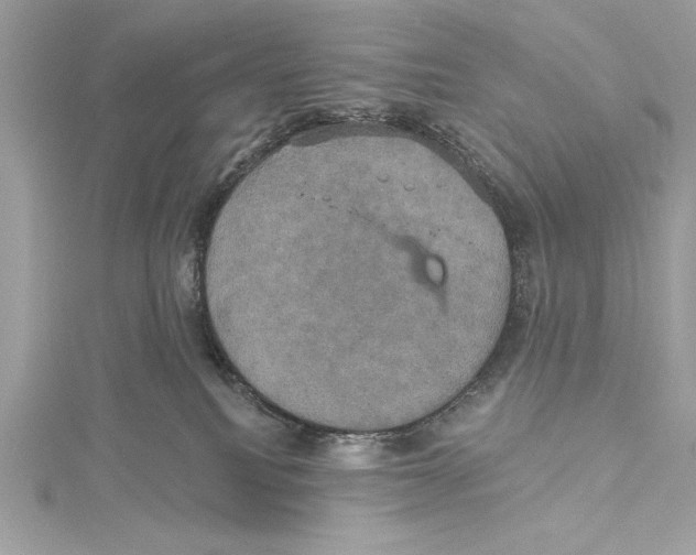 X0000115330088200911301536