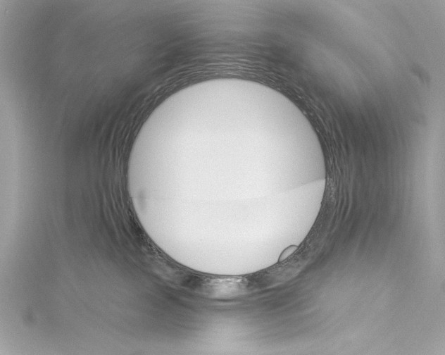 X0000115330089200911301536