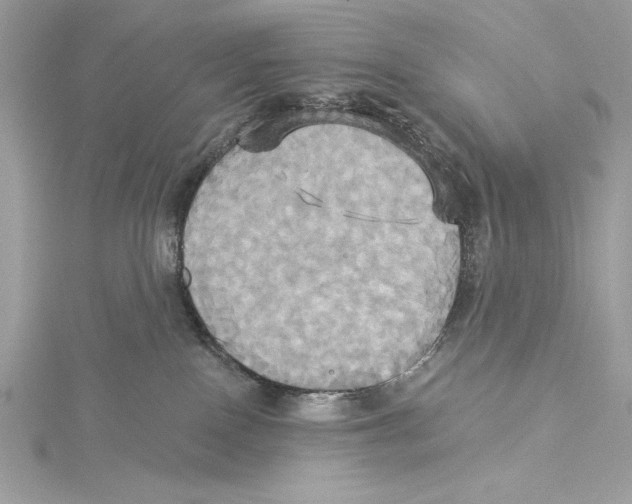 X0000115330090200911301536