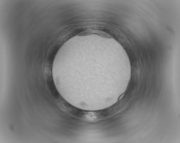 X0000115330091200911301536