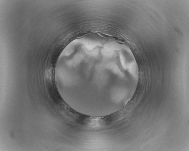 X0000115330093200911301536