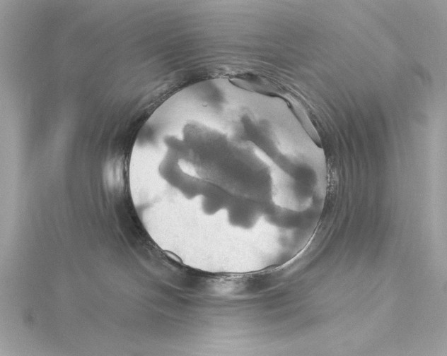 X0000115330094200911301536