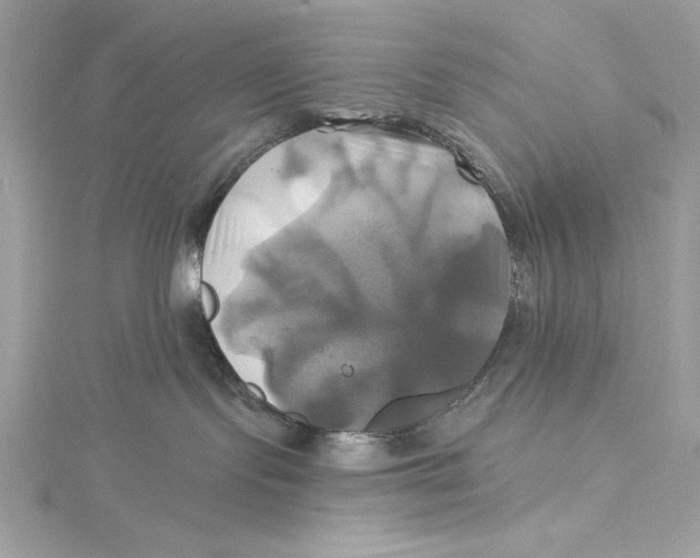 X0000115330095200911301536