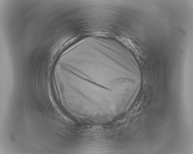 X0000115330097200911301535