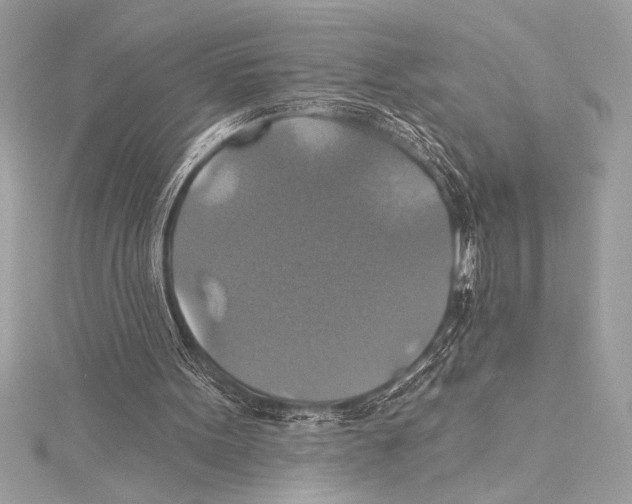 X0000115330099200911301535