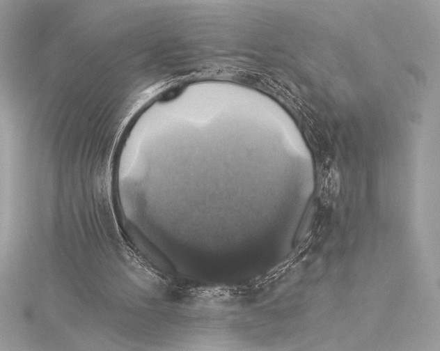 X0000115330100200911301535