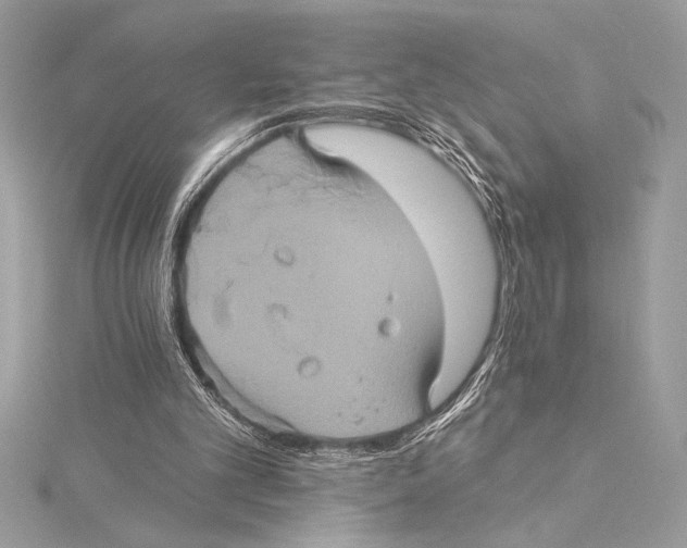 X0000115330101200911301535