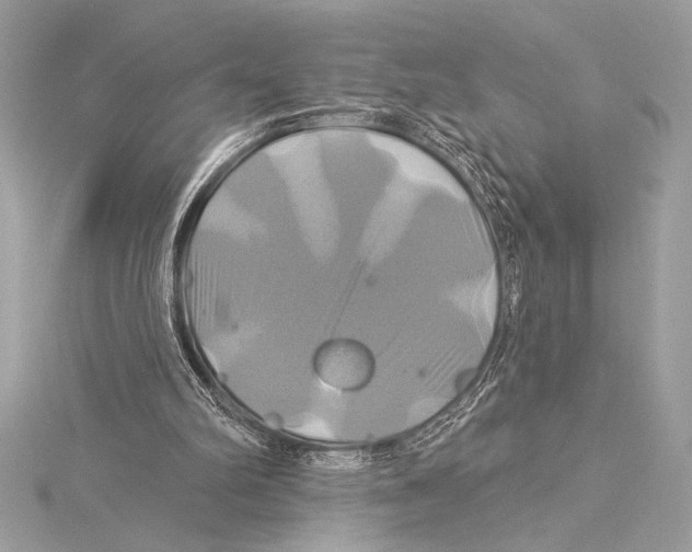 X0000115330102200911301535