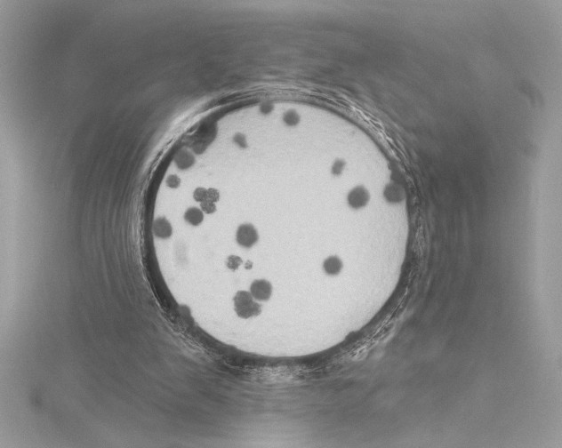 X0000115330103200911301535