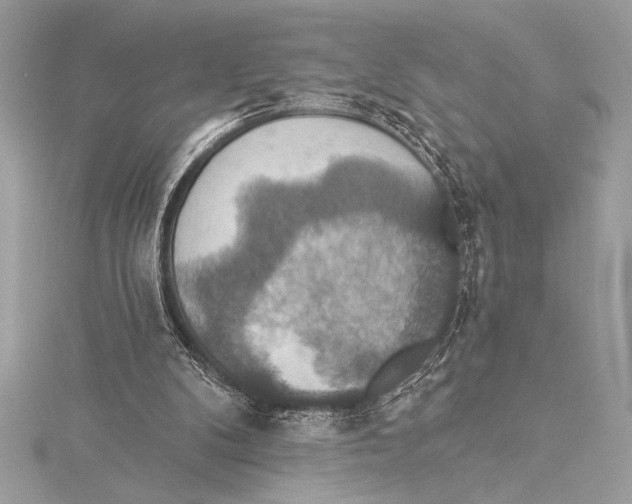 X0000115330104200911301535