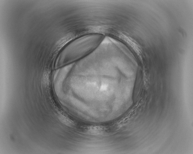 X0000115330105200911301535