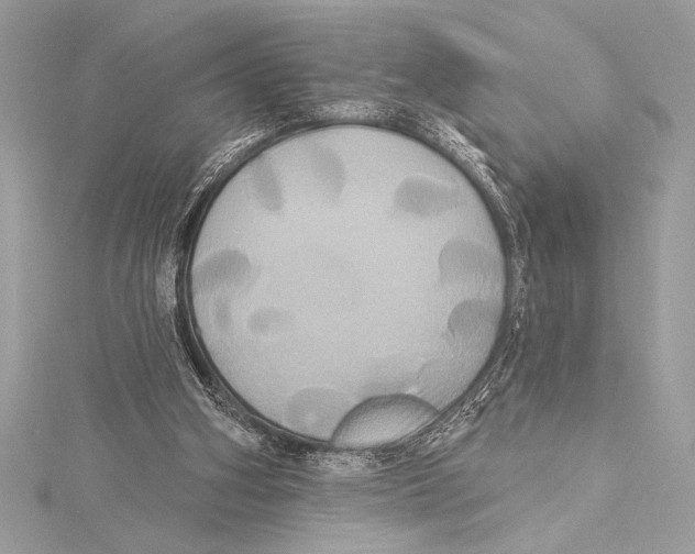 X0000115330106200911301535