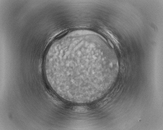 X0000115330107200911301535