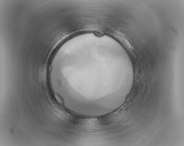 X0000115330108200911301535