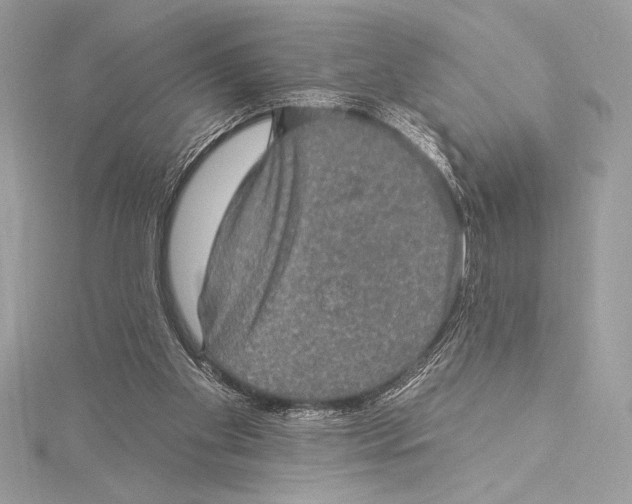 X0000115330109200911301535