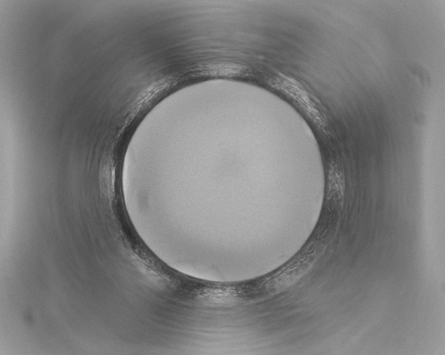 X0000115330110200911301535