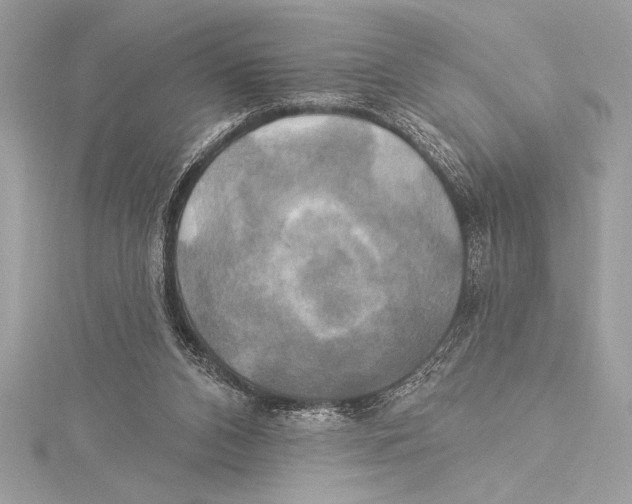 X0000115330112200911301535