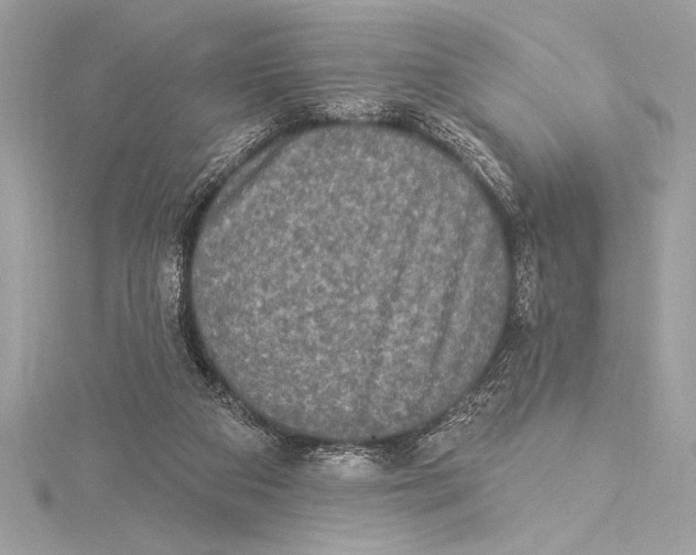 X0000115330113200911301535