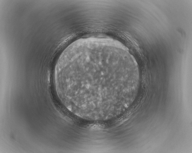 X0000115330115200911301535