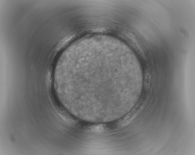 X0000115330116200911301535