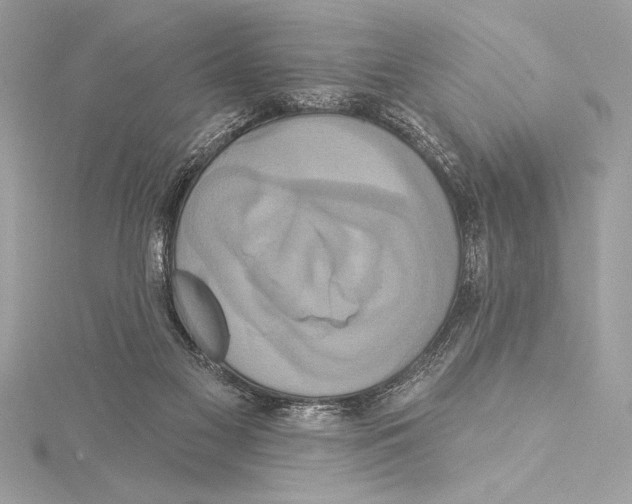 X0000115330117200911301535