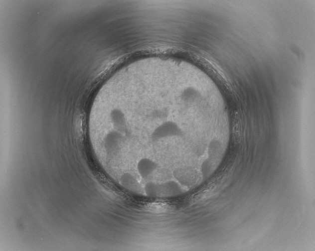 X0000115330119200911301535