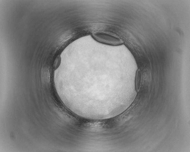 X0000115330120200911301535