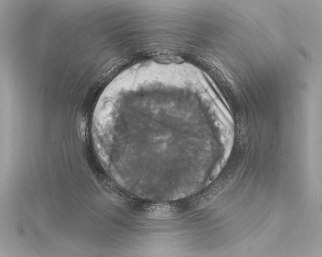 X0000115330123200911301535