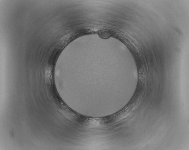 X0000115330127200911301535