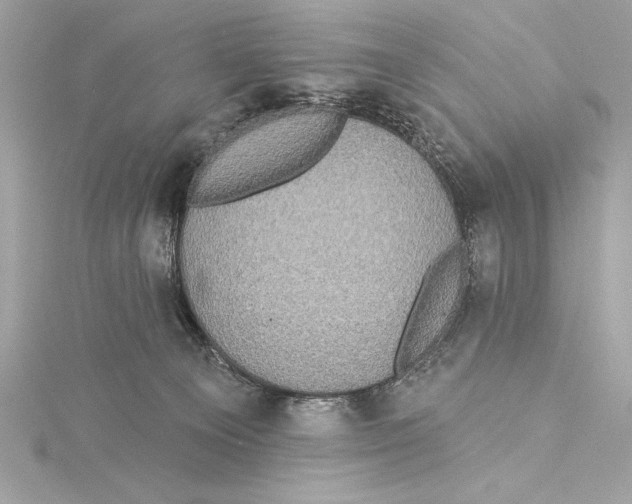 X0000115330129200911301535