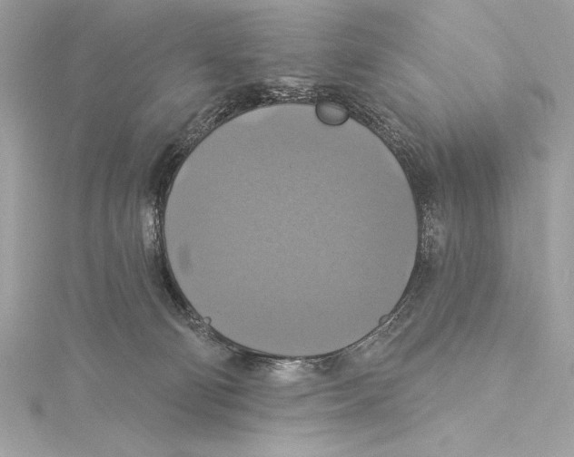 X0000115330130200911301535