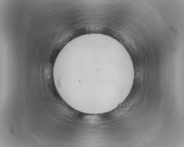 X0000115330133200911301535