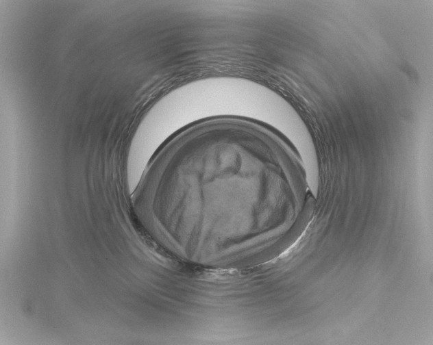 X0000115330136200911301535