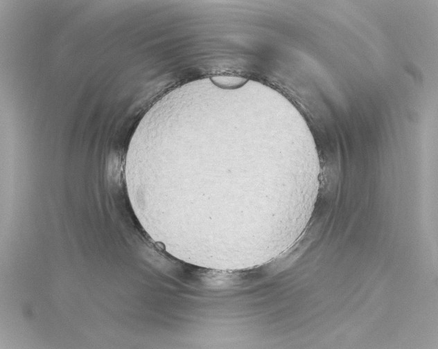 X0000115330142200911301535