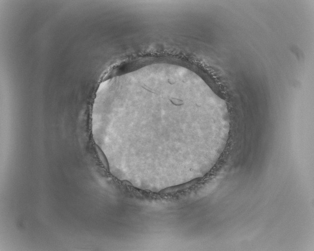 X0000115330144200911301535