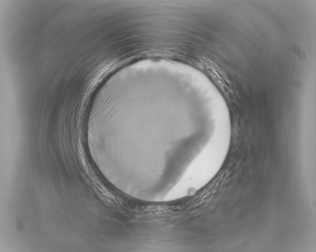 X0000115330145200911301534