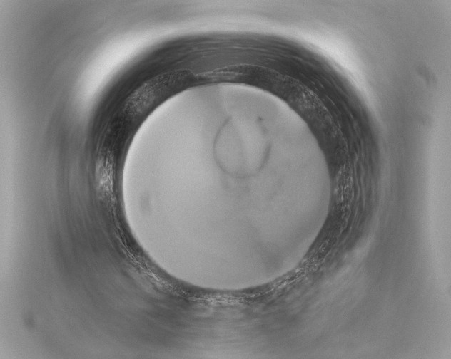 X0000115330146200911301534