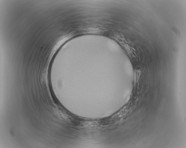 X0000115330147200911301534