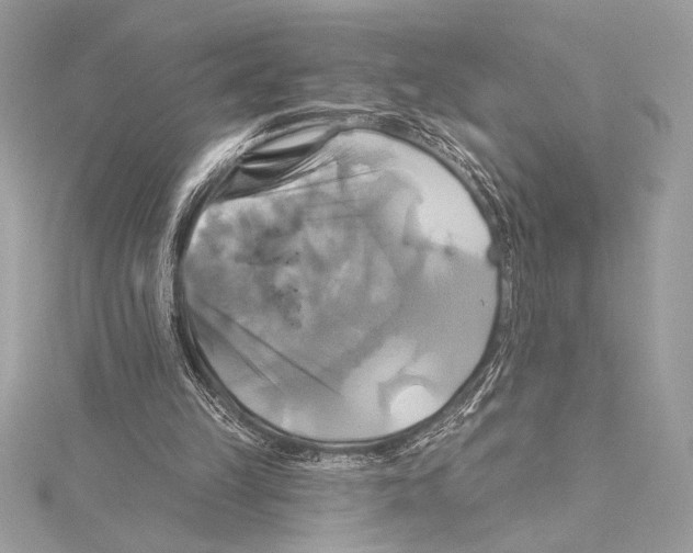 X0000115330149200911301534