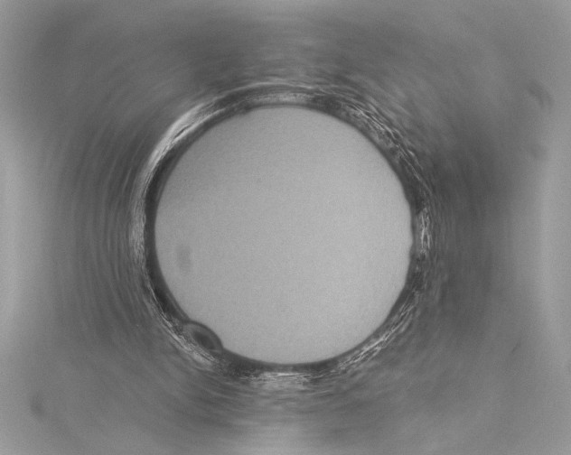 X0000115330150200911301534